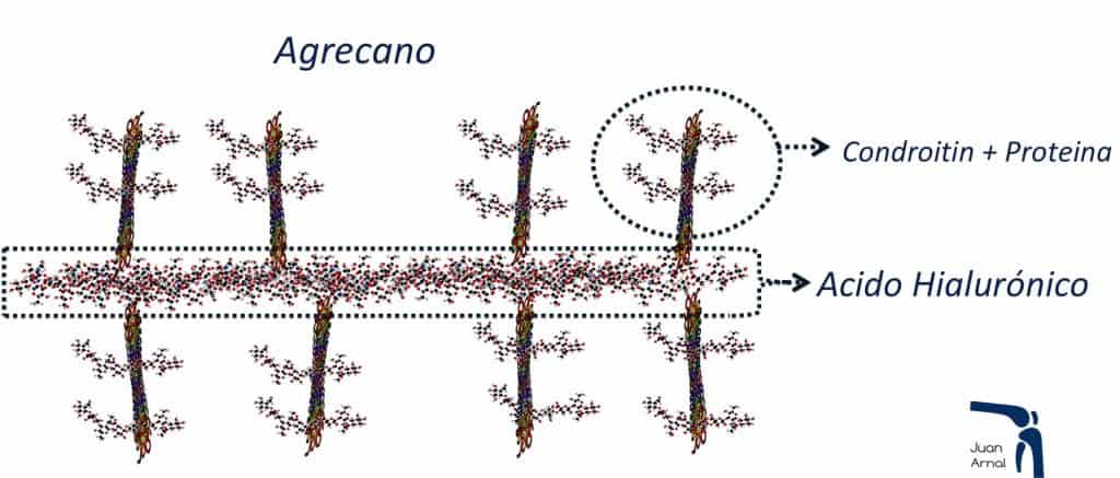 Acido hialuronico, rodilla, cadera, infiltración, hialurónico, lubricar, dolor rodilla, condromalacia, osteocondritis, infiltración rodilla, pinchazo rodilla, prp, células madre, lesión cartílago, ulcera, cartílago, juan arnal, traumatologo, meniscos, rotura menisco, artroscopia rodilla, tobillo, artrosis rodilla, adeslas, asisa, cirujano rodilla, traumatologo deportivo